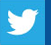  Twitter Page Icon & Link